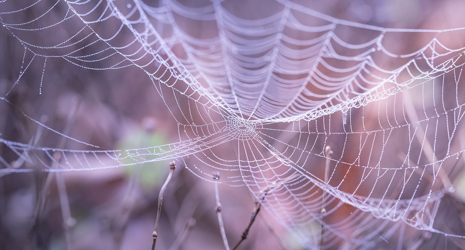 Netzwerk gross -